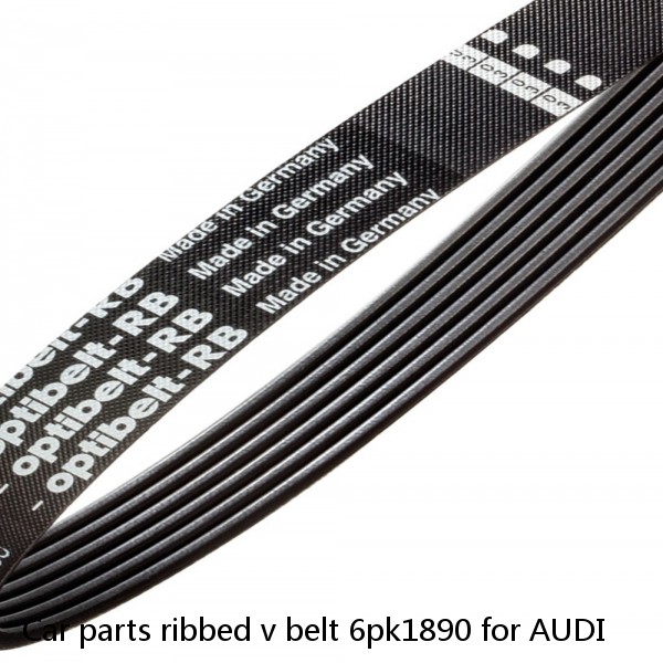 Car parts ribbed v belt 6pk1890 for AUDI