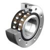 INA 5311WG Angular Contact Ball Bearings