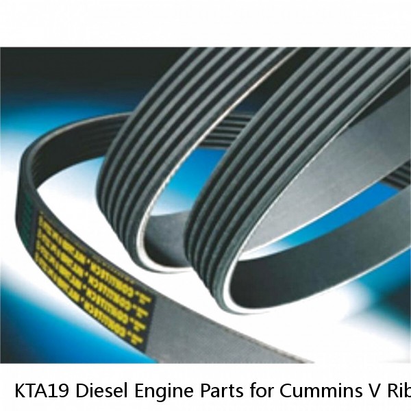 KTA19 Diesel Engine Parts for Cummins V Ribbed Belt 3024614