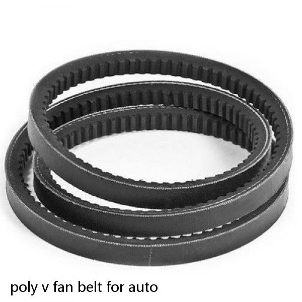 poly v fan belt for auto