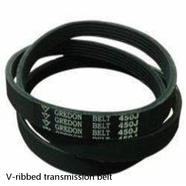 V-ribbed transmission belt #1 image