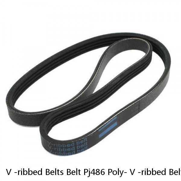 V -ribbed Belts Belt Pj486 Poly- V -ribbed Belts Special Transmission Belt For Photovoltaic Equipment #1 image