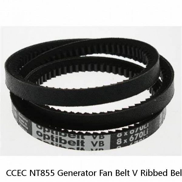 CCEC NT855 Generator Fan Belt V Ribbed Belt 3325963 3040384 3040385 178708 for genset #1 image